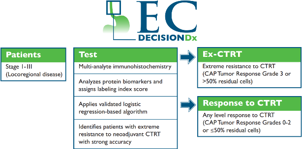 Test results chart